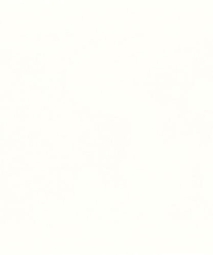 Options pure white - options,